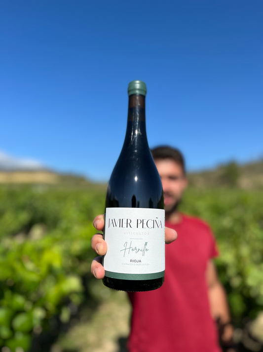 JAVIER PECIÑA HORNILLO