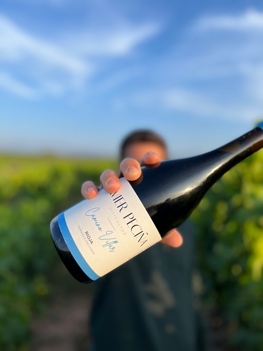 JAVIER PECIÑA CAMINO VILLAR