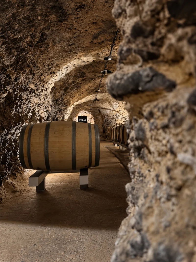 Calado de Bodegas FECO en San Vicente de la Sonsierra